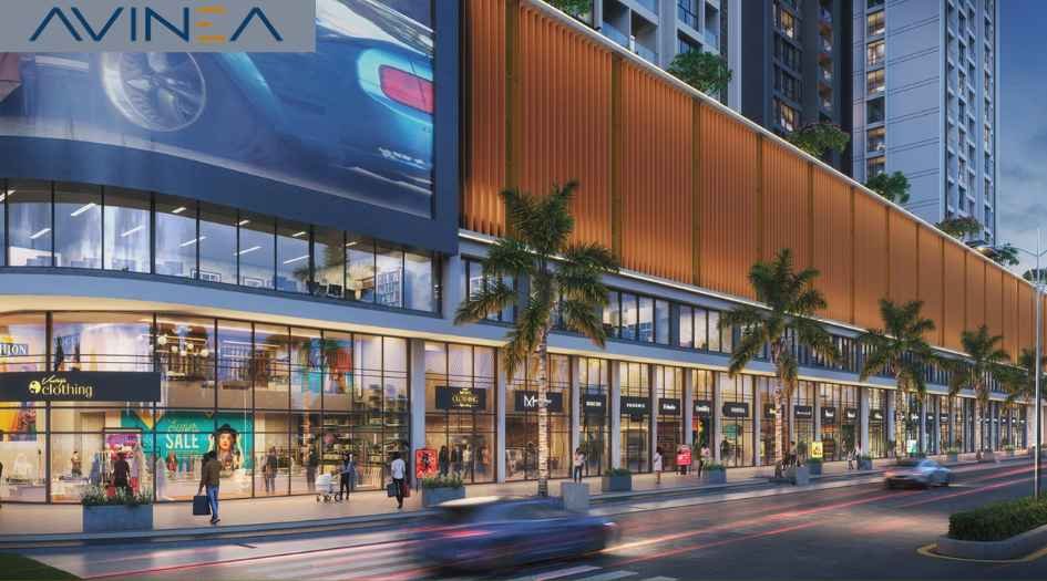 Vyom-Sigma-Avinea-shop-area